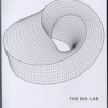 The Big Lab (Bog)