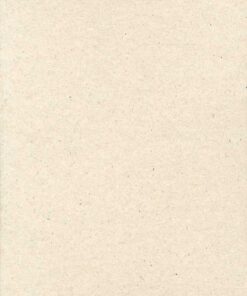 The Peterlee Project 1976-1977 (Bog)