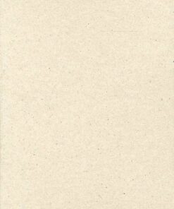 The Peterlee Project 1976-1977 - Stuart Brisley - Bog