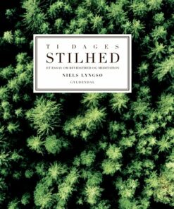 Ti Dages Stilhed - Niels Lyngsø - Bog