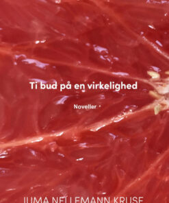 Ti bud på en virkelighed (Bog)