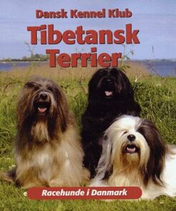 Tibetansk Terrier (Bog)