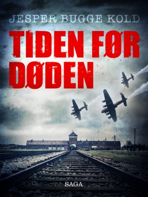 Tiden før døden (Bog)