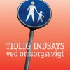 Tidlig indsats ved omsorgssvigt (E-bog)
