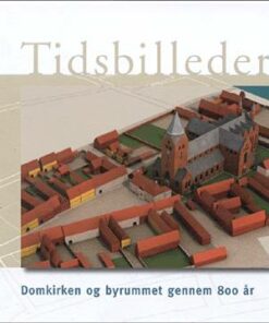 Tidsbilleder (Bog)