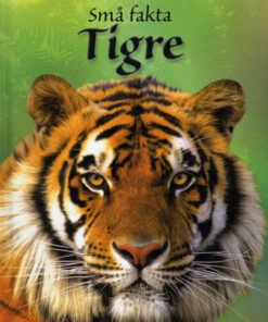 Tigre (E-bog)