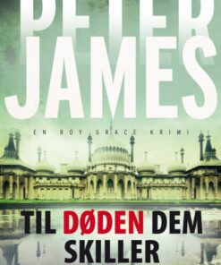 Til døden dem skiller (E-bog)