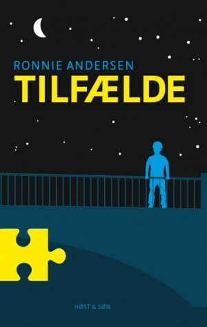 Tilfælde (E-bog)