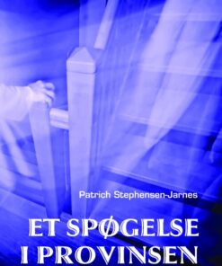 Tim og et spøgelse i provinsen (Bog)