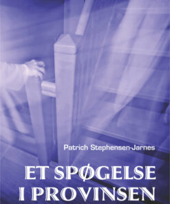 Tim og et spøgelse i provinsen (E-bog)