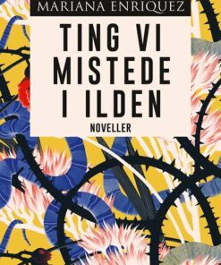 Ting Vi Mistede I Ilden - Mariana Enriquez - Bog