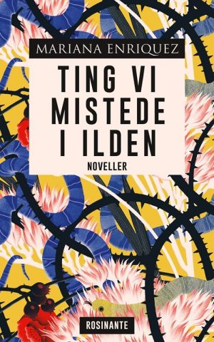 Ting Vi Mistede I Ilden - Mariana Enriquez - Bog