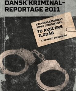 To AK81 ers ilddåb (E-bog)