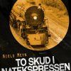 To skud i Natekspressen (E-bog)