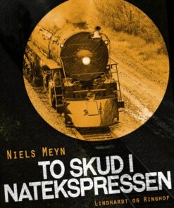 To skud i Natekspressen (E-bog)