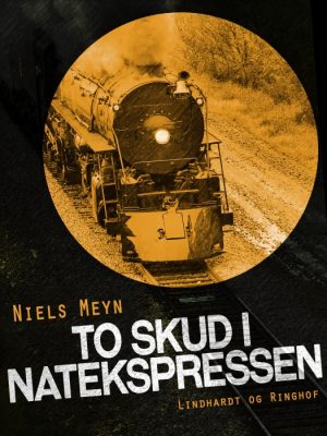 To skud i Natekspressen (E-bog)