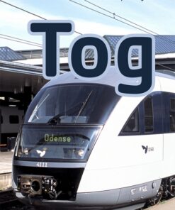 Tog (E-bog)