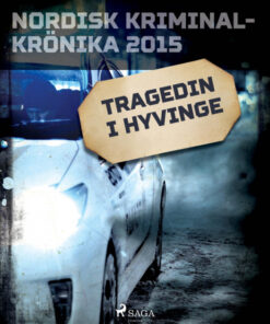 Tragedin i Hyvinge (E-bog)