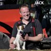 Traktorhunden Jack (Bog)