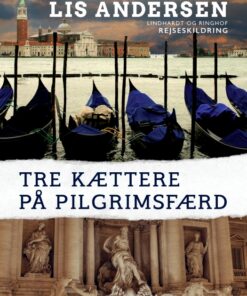 Tre kættere på pilgrimsfærd (E-bog)