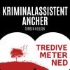 Tredive meter ned (E-bog)