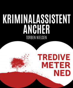 Tredive meter ned (E-bog)