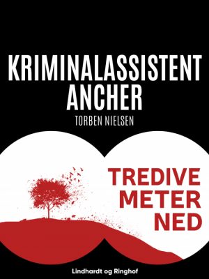 Tredive meter ned (E-bog)