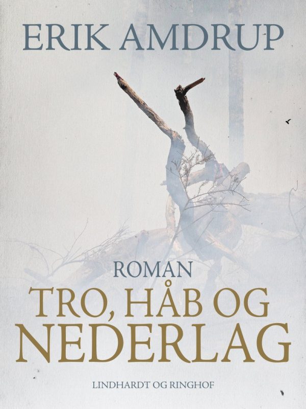 Tro, Håb Og Nederlag - Erik Amdrup - Bog