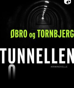 Tunnellen (E-bog)