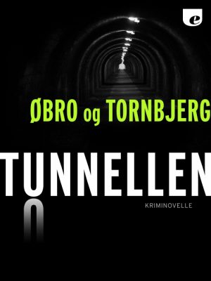 Tunnellen (E-bog)