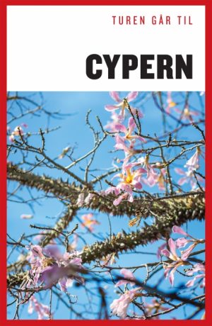 Turen Går Til Cypern (E-bog)