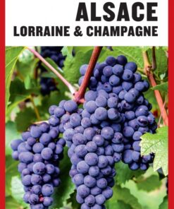 Turen går til Alsace, Lorraine & Champagne (Bog)