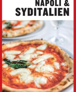 Turen går til Napoli & Syditalien (Bog)