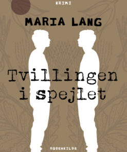 Tvillingen i spejlet (E-bog)