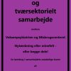 Tværfagligt og tværsektorielt samarbejde mellem Voksenpsykiatrien og Misbrugscenteret, nytænkning eller minefelt - eller begge dele. (E-bog)