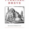 Tyrkiske breve (Bog)