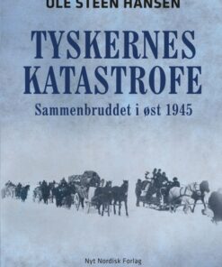 Tyskernes katastrofe (E-bog)