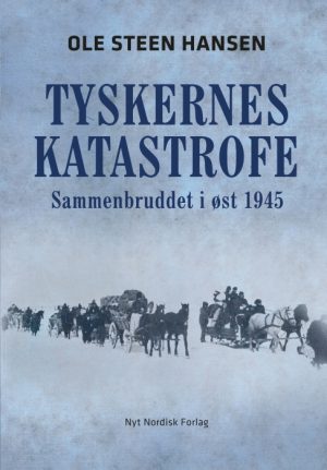 Tyskernes katastrofe (E-bog)