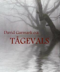 Tågevals - Lars Thomassen - Bog