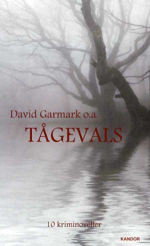 Tågevals - Lars Thomassen - Bog