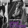UNG I 70´ERNE (E-bog)