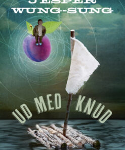 Ud med Knud (Bog)