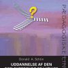 Uddannelse Af Den Reflekterende Praktiker - Donald A. Schön - Bog