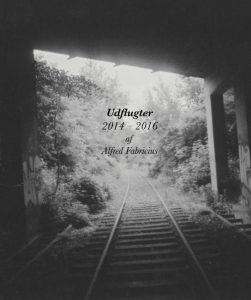 Udflugter - Alfred Fabricius - Bog