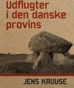 Udflugter i den danske provins (E-bog)