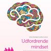 Udfordrende Mindset - James Nottingham - Bog
