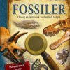 Udforsk fossiler (Bog)