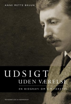 Udsigt uden værelse (Bog)