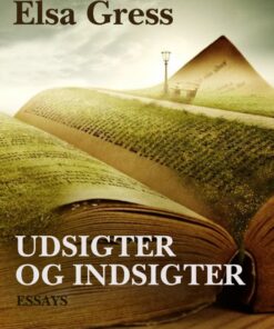 Udsigter og indsigter (E-bog)