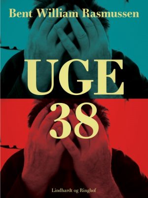 Uge 38 (E-bog)